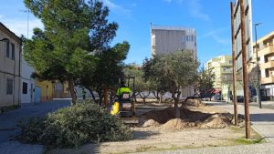 Retirada de Olivos en Leyva