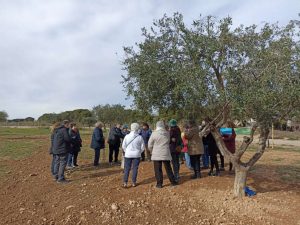 Concentración Olivos Leyva