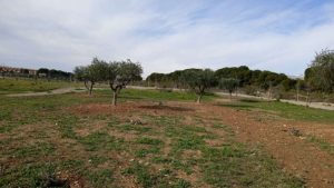Concentración Olivos Leyva