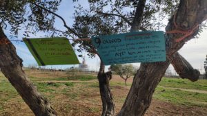 Concentración Olivos Leyva