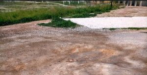 Bajada de San Eloy a Sergio López Saz