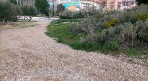 Bajada de San Eloy a Sergio López Saz