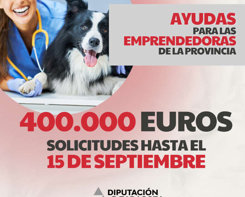 Nueva convocatoria de la DPZ para Mujeres Emprendedoras