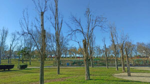 Estado Parque Oliver Febrero 2025