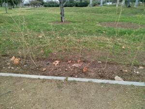Estado Parque Oliver Febrero 2025