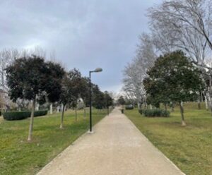 Estado Parque Oliver Febrero 2025