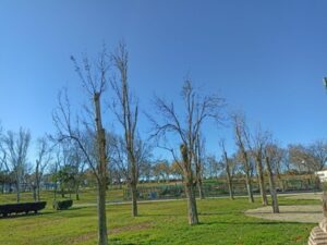Estado Parque Oliver Febrero 2025