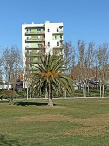 Estado Parque Oliver Febrero 2025