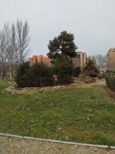 Estado Parque Oliver Febrero 2025