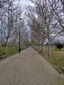 Estado Parque Oliver Febrero 2025