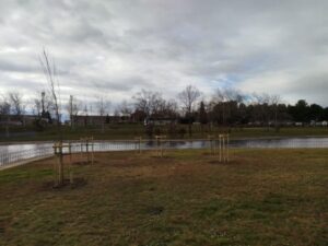 Estado Parque Oliver Febrero 2025