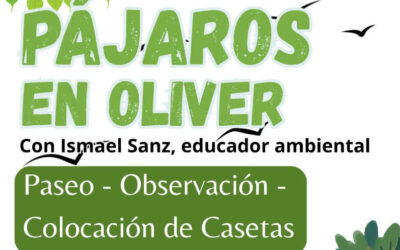 Actividad ornitológica en el Parque Oliver – 1 de junio