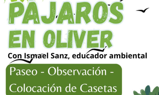 Actividad ornitológica en el Parque Oliver – 1 de junio