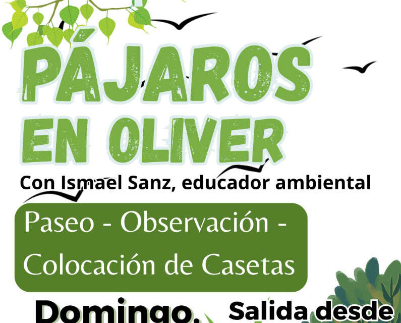 Actividad ornitológica en el Parque Oliver – 1 de junio