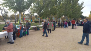 Fiesta de Otoño 2025