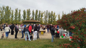 Fiesta de Otoño 2025