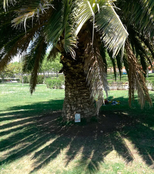Parque Oliver. Vívelo, léelo 2021