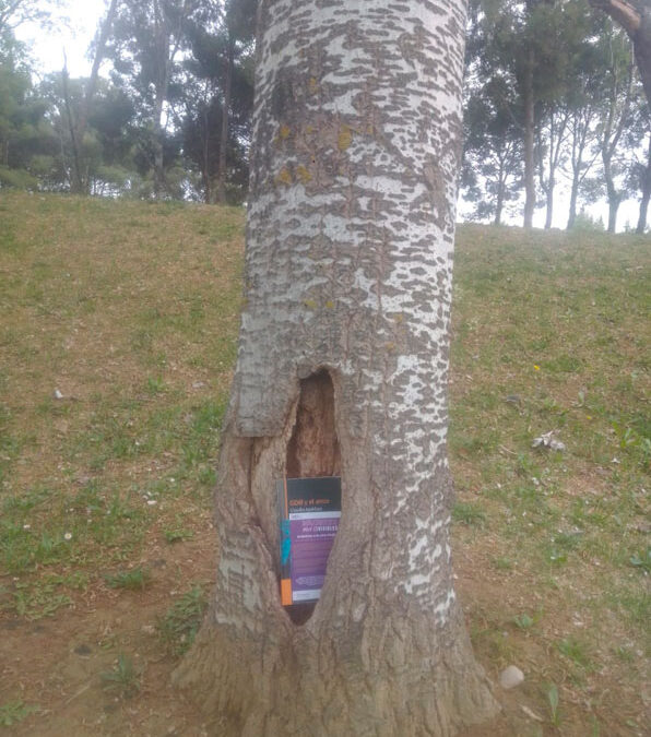 Parque Oliver. Vívelo, léelo 2021