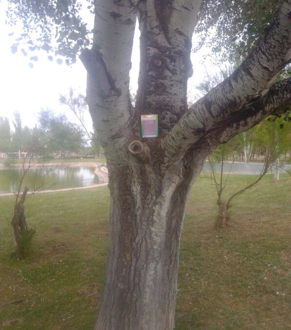 Parque Oliver. Vívelo, léelo 2021