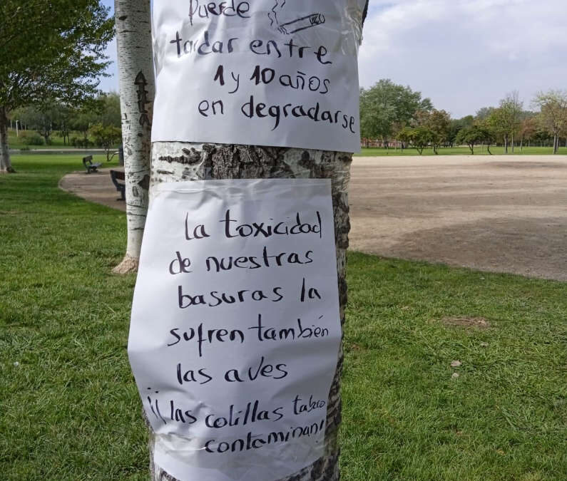limpieza-parque-15