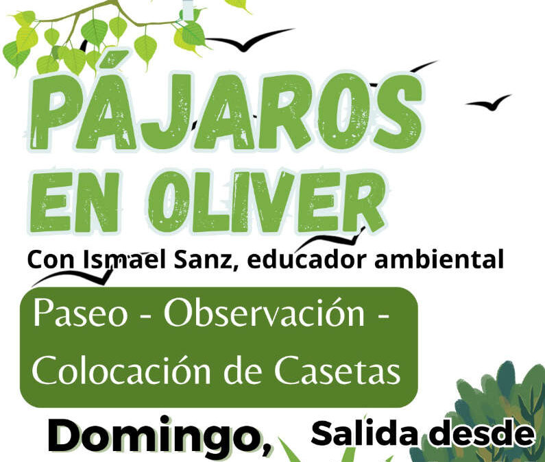 pajaros-oliver-JUN25